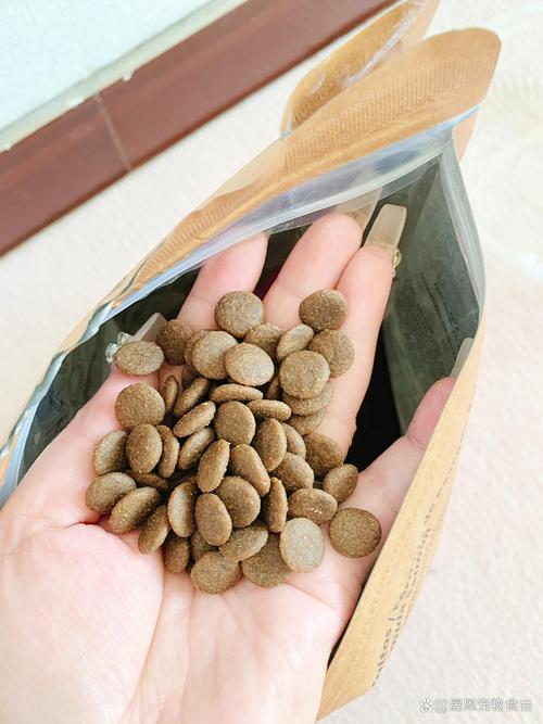 晟恩宠物食品 低敏易消，让爱宠畅享舒适生活
