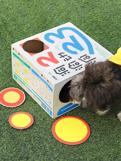 不只是饱腹 太阳家宠物食品如何用设计讲述“家”的味道